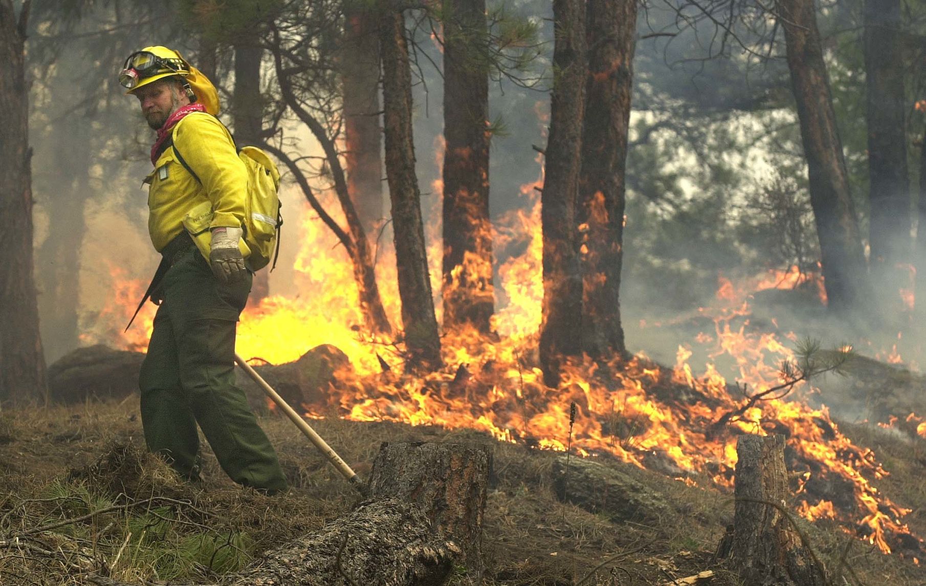 Hayman Fire